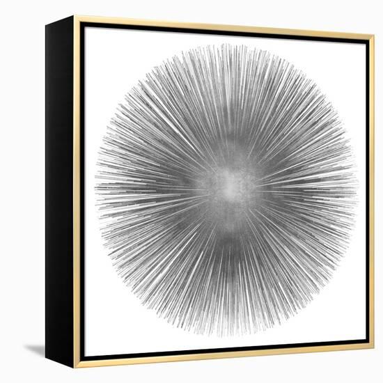 Silver Sunburst I-Abby Young-Framed Stretched Canvas