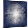 Silver Sunburst on Blue I-Abby Young-Mounted Art Print