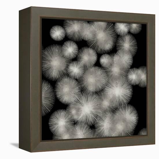 Silver Sunbursts-Abby Young-Framed Stretched Canvas