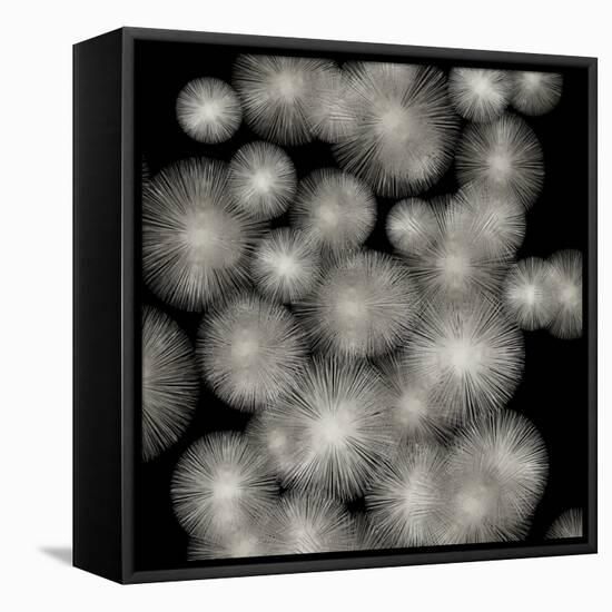 Silver Sunbursts-Abby Young-Framed Stretched Canvas