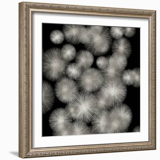 Silver Sunbursts-Abby Young-Framed Art Print