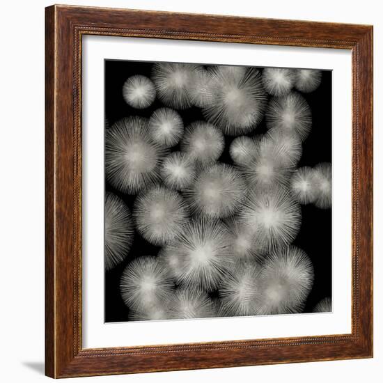 Silver Sunbursts-Abby Young-Framed Art Print