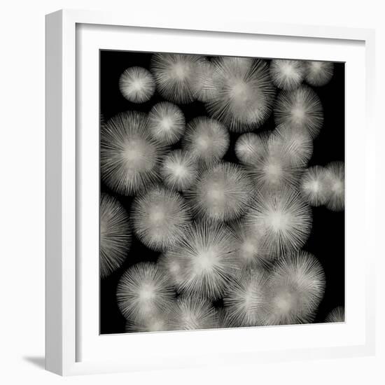 Silver Sunbursts-Abby Young-Framed Art Print