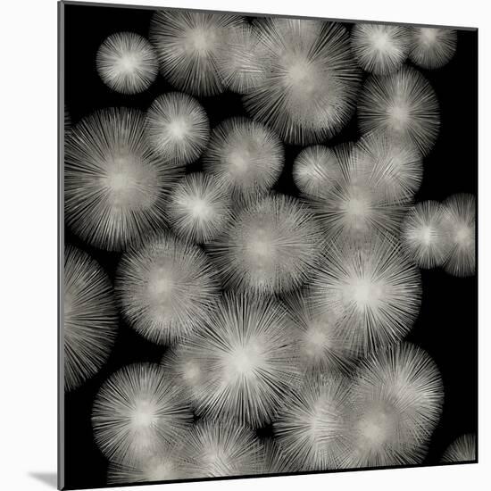 Silver Sunbursts-Abby Young-Mounted Art Print