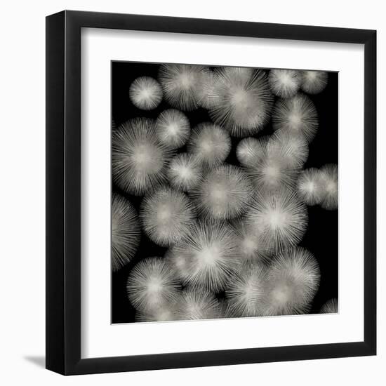 Silver Sunbursts-Abby Young-Framed Art Print