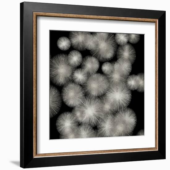 Silver Sunbursts-Abby Young-Framed Art Print