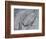 Silver Swirl 2-Enrico Varrasso-Framed Art Print