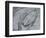 Silver Swirl 2-Enrico Varrasso-Framed Art Print