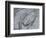 Silver Swirl 2-Enrico Varrasso-Framed Art Print