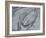 Silver Swirl 2-Enrico Varrasso-Framed Art Print