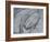 Silver Swirl 2-Enrico Varrasso-Framed Art Print