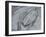 Silver Swirl 2-Enrico Varrasso-Framed Art Print