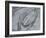 Silver Swirl 2-Enrico Varrasso-Framed Art Print