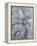 Silver Swirl 3-Enrico Varrasso-Framed Stretched Canvas