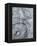 Silver Swirl 3-Enrico Varrasso-Framed Stretched Canvas
