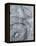 Silver Swirl 3-Enrico Varrasso-Framed Stretched Canvas