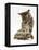 Silver Tabby Kitten Looking at a Hermann's Tortoise Walking-Jane Burton-Framed Premier Image Canvas