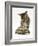 Silver Tabby Kitten Looking at a Hermann's Tortoise Walking-Jane Burton-Framed Photographic Print