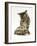 Silver Tabby Kitten Looking at a Hermann's Tortoise Walking-Jane Burton-Framed Photographic Print