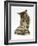 Silver Tabby Kitten Looking at a Hermann's Tortoise Walking-Jane Burton-Framed Photographic Print