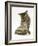 Silver Tabby Kitten Looking at a Hermann's Tortoise Walking-Jane Burton-Framed Photographic Print