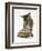 Silver Tabby Kitten Looking at a Hermann's Tortoise Walking-Jane Burton-Framed Photographic Print