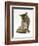 Silver Tabby Kitten Looking at a Hermann's Tortoise Walking-Jane Burton-Framed Photographic Print