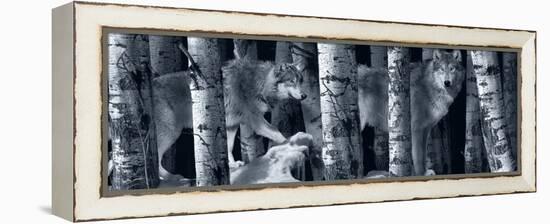 Silver Tone Moon Shadows 2-Gordon Semmens-Framed Premier Image Canvas