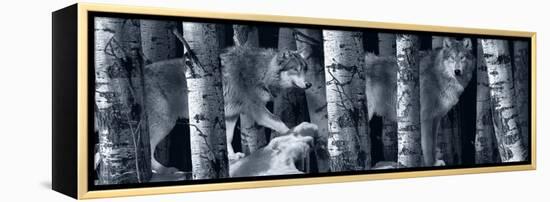 Silver Tone Moon Shadows 2-Gordon Semmens-Framed Premier Image Canvas