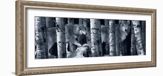 Silver Tone Moon Shadows 2-Gordon Semmens-Framed Photographic Print