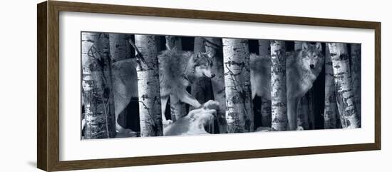 Silver Tone Moon Shadows 2-Gordon Semmens-Framed Photographic Print