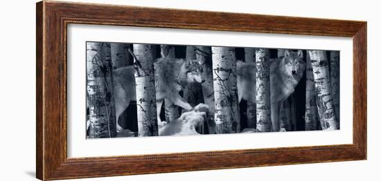 Silver Tone Moon Shadows 2-Gordon Semmens-Framed Photographic Print