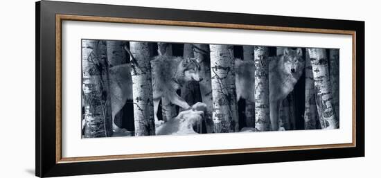 Silver Tone Moon Shadows 2-Gordon Semmens-Framed Photographic Print