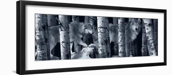 Silver Tone Moon Shadows 2-Gordon Semmens-Framed Photographic Print