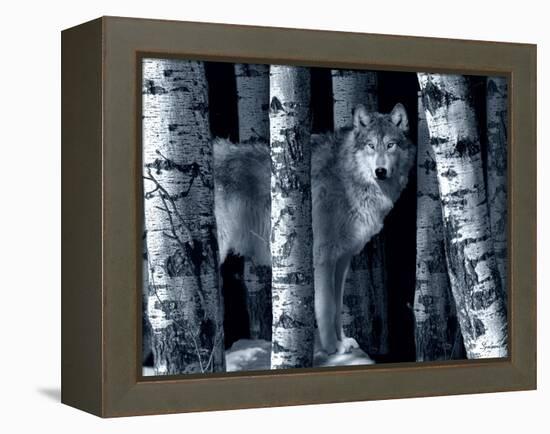 Silver Tone Moon Shadows-Gordon Semmens-Framed Premier Image Canvas