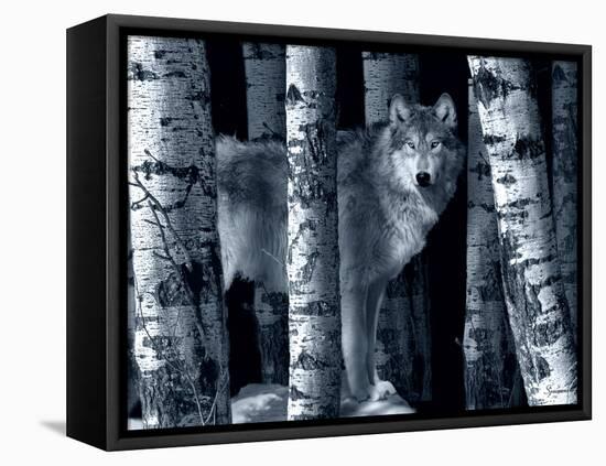 Silver Tone Moon Shadows-Gordon Semmens-Framed Premier Image Canvas