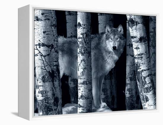 Silver Tone Moon Shadows-Gordon Semmens-Framed Premier Image Canvas