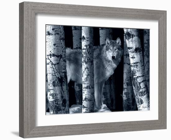 Silver Tone Moon Shadows-Gordon Semmens-Framed Photographic Print