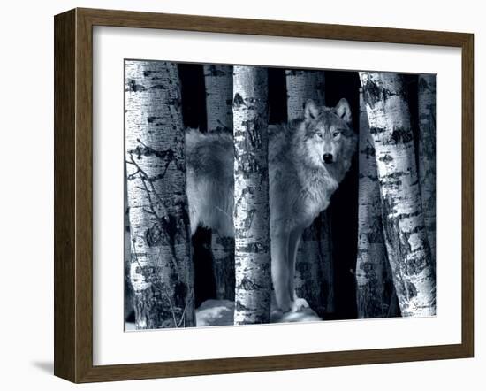 Silver Tone Moon Shadows-Gordon Semmens-Framed Photographic Print