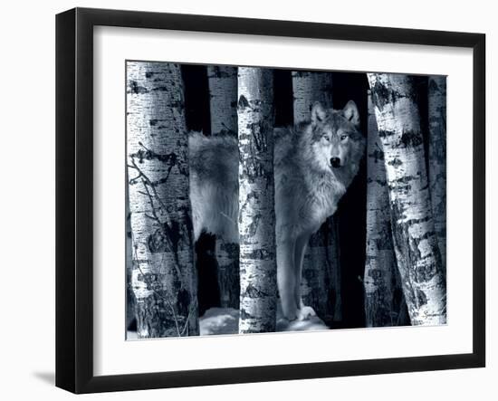 Silver Tone Moon Shadows-Gordon Semmens-Framed Photographic Print