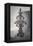 Silver Torah Handle-Joy Lions-Framed Premier Image Canvas