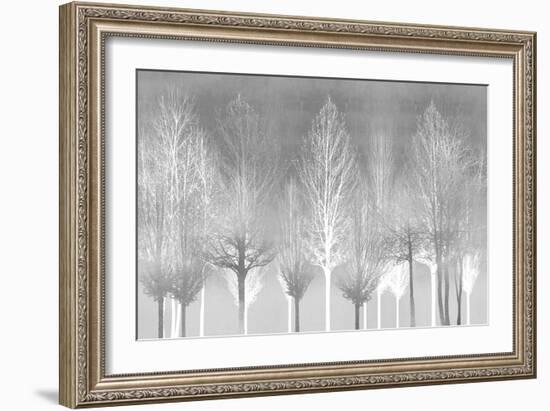 Silver Trees-Kate Bennett-Framed Art Print