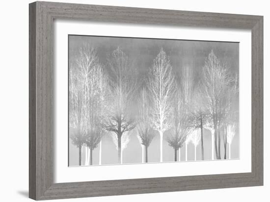 Silver Trees-Kate Bennett-Framed Art Print