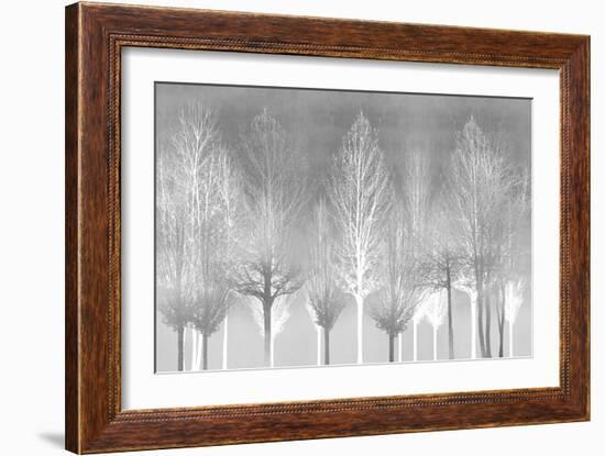 Silver Trees-Kate Bennett-Framed Art Print