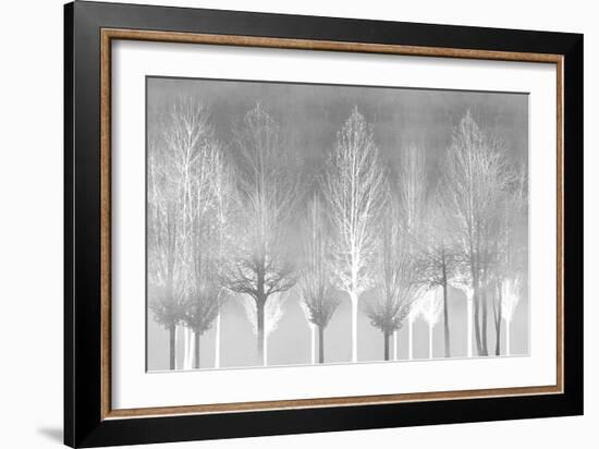 Silver Trees-Kate Bennett-Framed Art Print