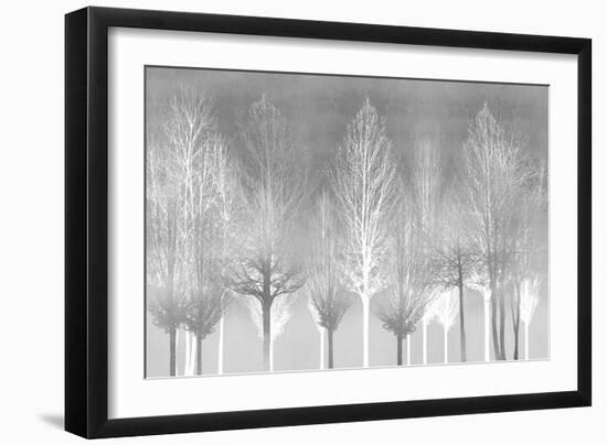 Silver Trees-Kate Bennett-Framed Art Print