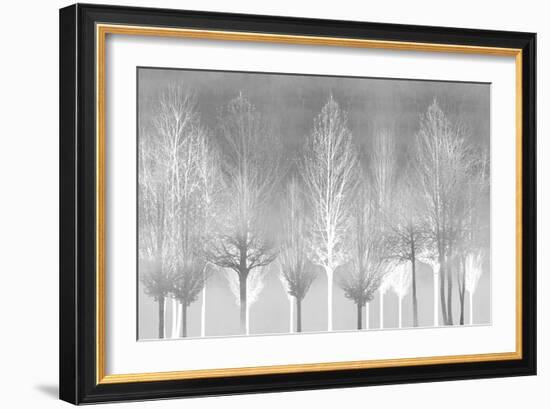 Silver Trees-Kate Bennett-Framed Art Print