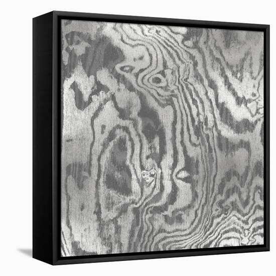 Silver Variations I-Danielle Carson-Framed Stretched Canvas