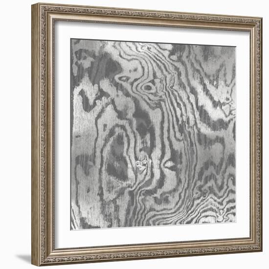 Silver Variations I-Danielle Carson-Framed Art Print