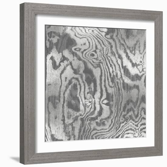 Silver Variations I-Danielle Carson-Framed Art Print